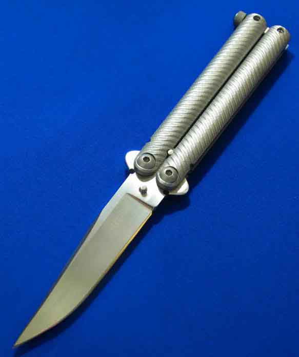 ��ʦAllen Elishewitz ����.������ά�� �ֹ�����˦��